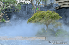 其余多正在5万方