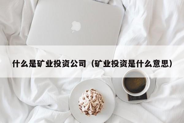 什么是矿业投资公司（矿业投资是什么意思）